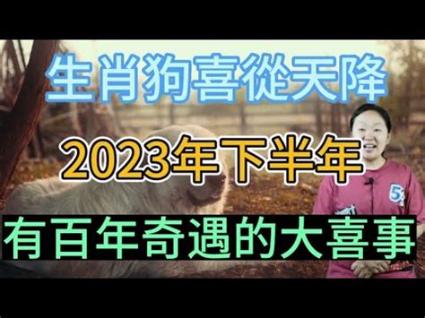 2023屬狗買房|【2023屬狗買房】2023屬狗人買房：適合住幾樓？注意事項大公。